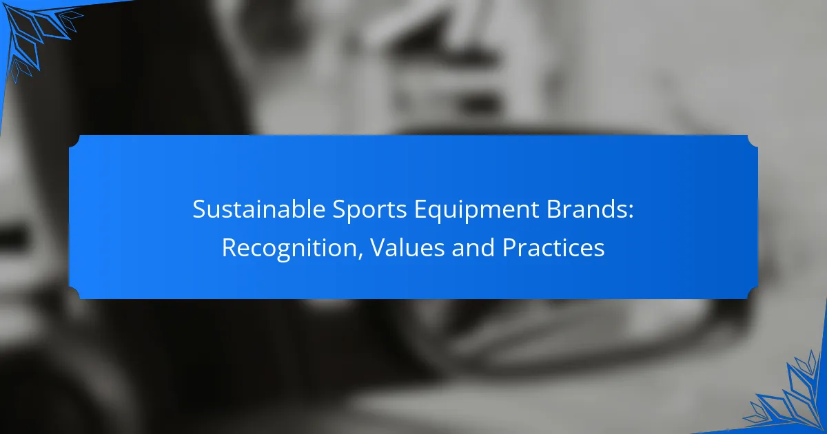 Sustainable Sports Equipment Brands: Recognition, Values and Practices