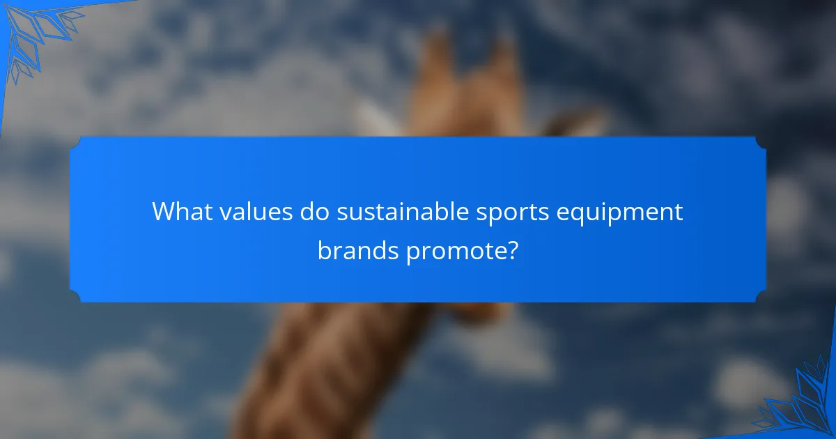 What values do sustainable sports equipment brands promote?