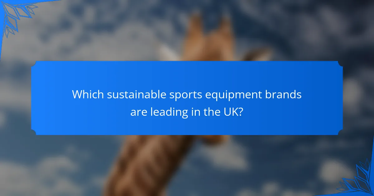 Which sustainable sports equipment brands are leading in the UK?